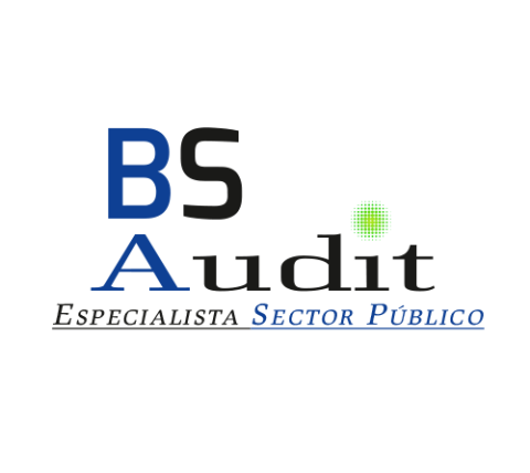 logo bs audit vector