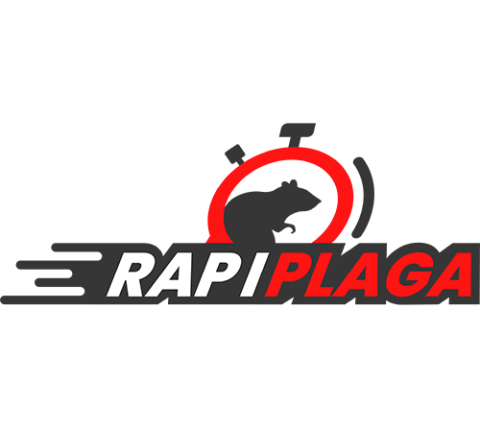 RAPIPLAGA_sin fondo